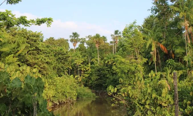 COP30, Brics e acordo Mercosul-União Europeia adiado: relembre destaques do ano da diplomacia do Brasil